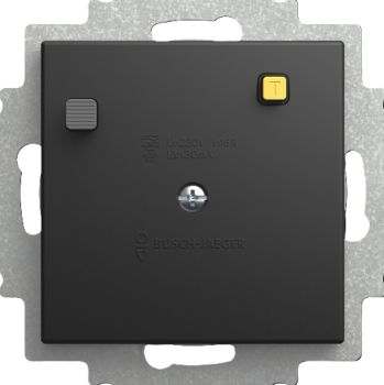 Busch Jaeger 2CKA003117A0665