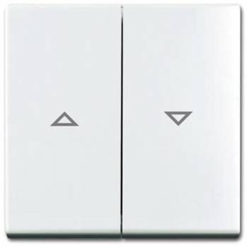 Busch Jaeger 2CKA001713A0202