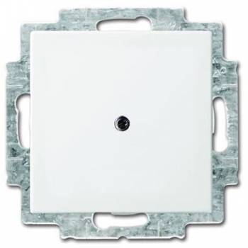 Busch Jaeger 2CKA001715A0319