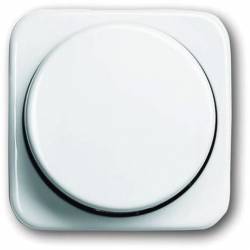 Busch Jaeger 2CKA006599A0237