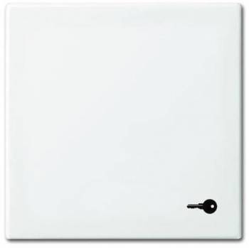 Busch Jaeger 2CKA001731A2012