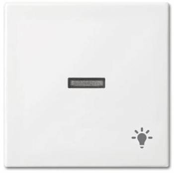 Busch Jaeger 2CKA001731A2017