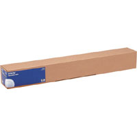Epson C13S041895