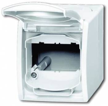 Busch Jaeger 2CKA001724A4264