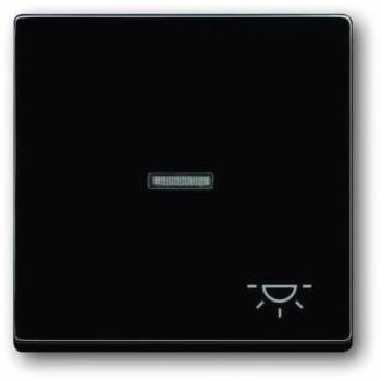 Busch Jaeger 2CKA001751A2931