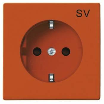 Busch Jaeger 2CKA002011A3723