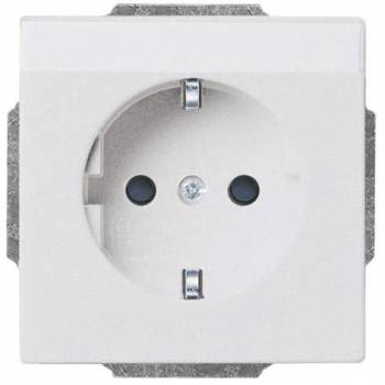 Busch Jaeger 2CKA002011A3810