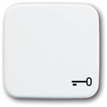 Busch Jaeger 2CKA001731A0959