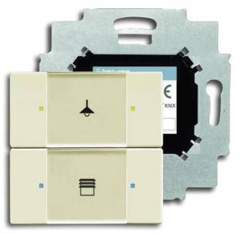 Busch Jaeger 2CKA006116A0171