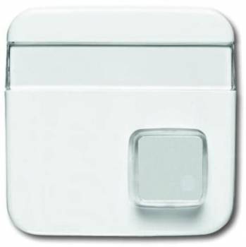 Busch Jaeger 2CKA001582A0345