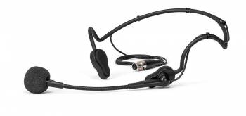 RCS Audio-Systems HS-100