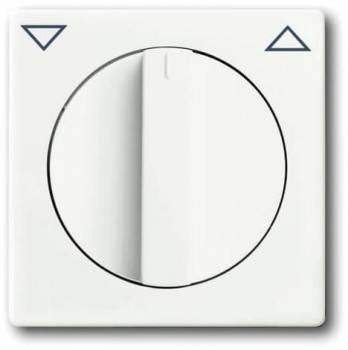 Busch Jaeger 2CKA001710A3872