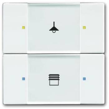 Busch Jaeger 2CKA006116A0186