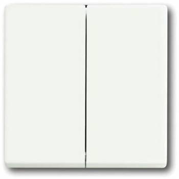 Busch Jaeger 2CKA001751A3024
