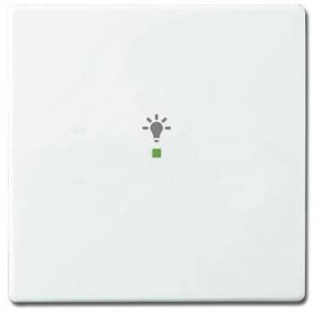 Busch Jaeger 2CKA006220A0037