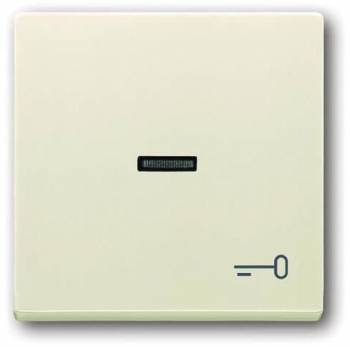 Busch Jaeger 2CKA001751A2747