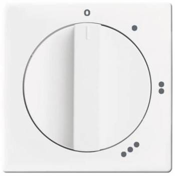 Busch Jaeger 2CKA001710A3646