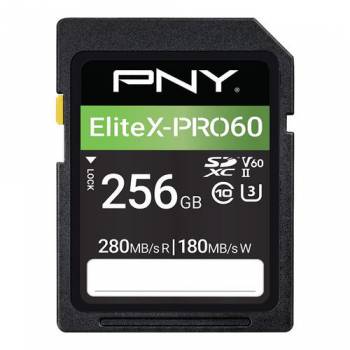 PNY P-SD256V60280EXP6-GE