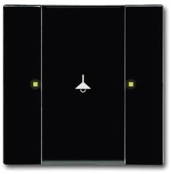 Busch Jaeger 2CKA006115A0193
