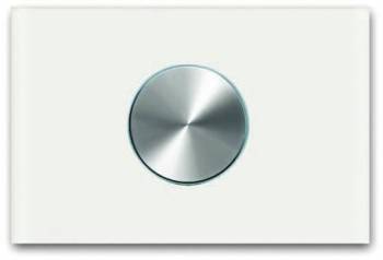 Busch Jaeger 2CKA006310A0169