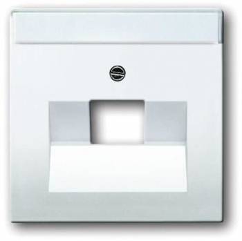 Busch Jaeger 2CKA001710A3165