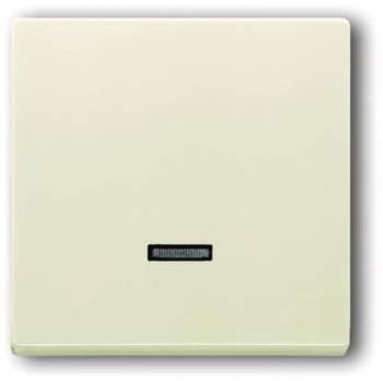 Busch Jaeger 2CKA006599A2831