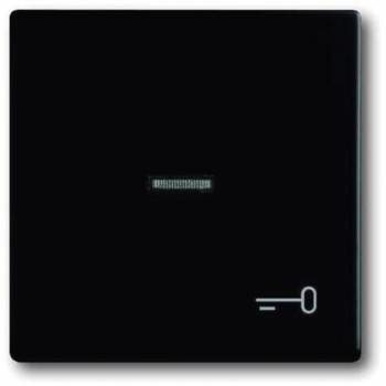 Busch Jaeger 2CKA001751A3046