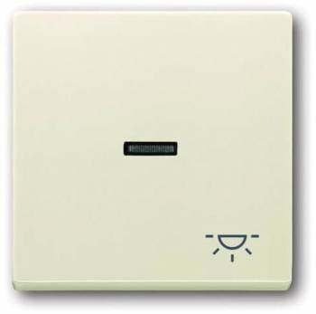 Busch Jaeger 2CKA001751A2745
