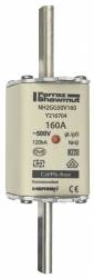 Ferraz Shawmut Y216704