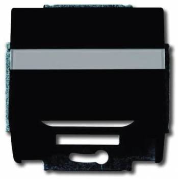 Busch Jaeger 2CKA001724A4253