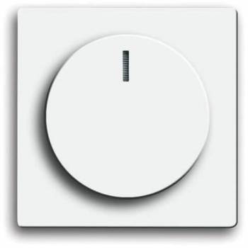 Busch Jaeger 2CKA006599A2953