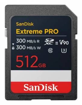 SANDISK SDSDXDM-512G-GN4IN