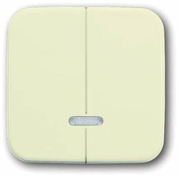 Busch Jaeger 2CKA006599A2888