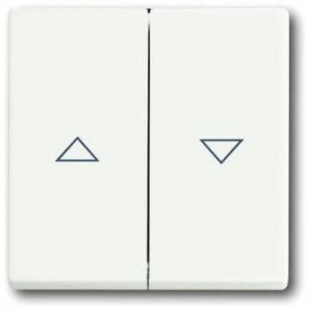Busch Jaeger 2CKA001751A3022