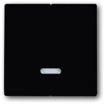 Busch Jaeger 2CKA006599A2906