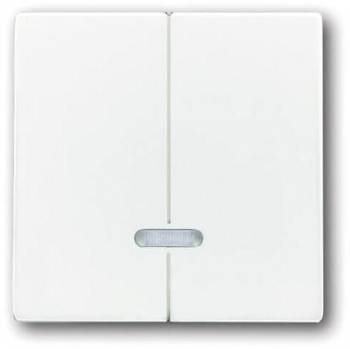 Busch Jaeger 2CKA006599A2908