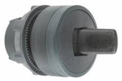 Schneider Electric ZB5AD28