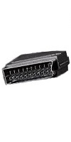 SCART Peritel Stecker EN 50049