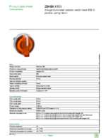 Datenblatt zu Schneider Electric ZB4BK1553, EAN: 3389110891003