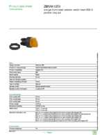 Datenblatt zu Schneider Electric ZB5AK1253, EAN: 3389110906080