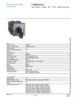 Datenblatt zu Schneider Electric K1B002ALH, EAN: 3389110079326