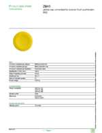 Datenblatt zu Schneider Electric ZBA5, EAN: 3389110090666