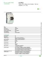 Datenblatt zu Schneider Electric GV2P22, EAN: 3389110213539